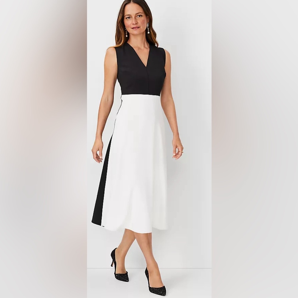 Ann Taylor - NWT - Petite Color Block V-Neck Flare Dress